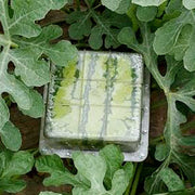 Square watermelon shaped growth mold