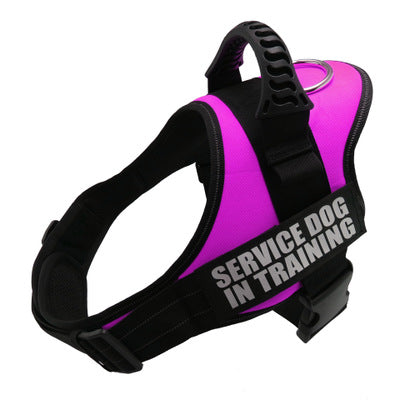 Personalized  Reflective Breathable Dog Harness