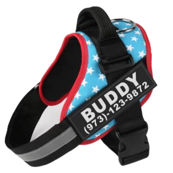 Personalized  Reflective Breathable Dog Harness