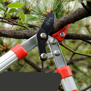 Piccole Forbici Con Manico In Alluminio Attrezzi Da Giardino Per Potatura