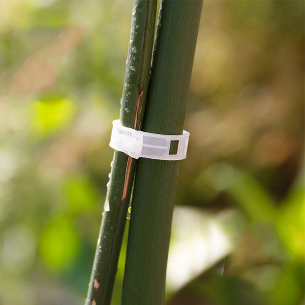 Pflanzenfester Ring Gartenbedarf Landwirtschaftliche Werkzeuge