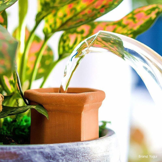 Attrezzi da giardino con irrigazione automatica Scolapiatti in ceramica rossa pigra