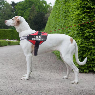 Personalized  Reflective Breathable Dog Harness