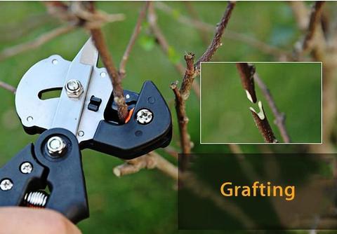 Garten Obst Baum Pro Rebschnitt Schere Scissor Pfropfen Schneiden Werkzeug 2 Klinge Garten Werkzeuge Set Pruner Baum Schneiden Werkzeug