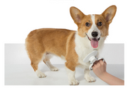 Self-cleaning wire brush for pets