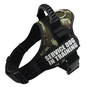 Personalized  Reflective Breathable Dog Harness