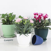 Plastic Resin Thickened Vertical Stripes Green Plant Pot Colorful Round Flower Pot