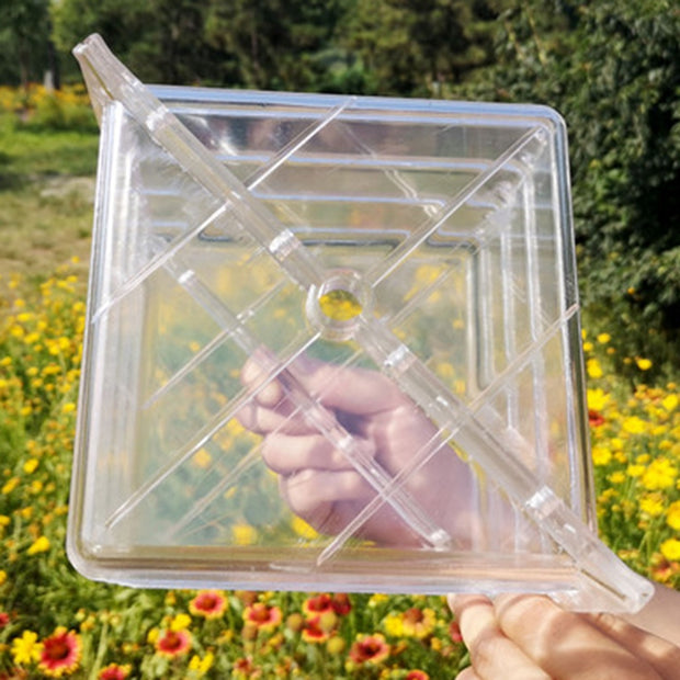 Square watermelon shaped growth mold