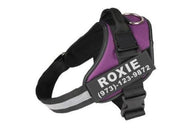 Personalized  Reflective Breathable Dog Harness