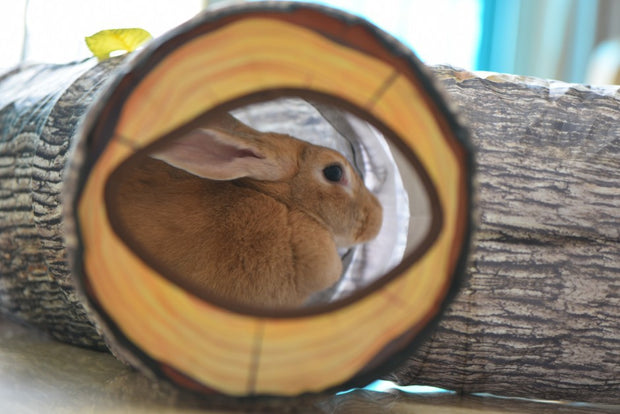 Giocattolo per animali domestici con tunnel a forma di albero