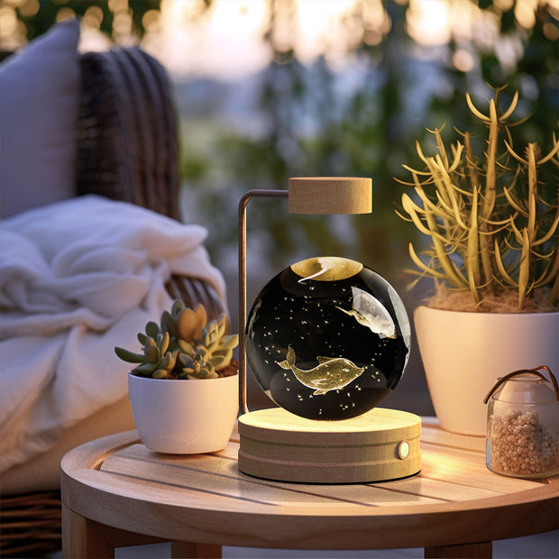 Crystal Ball Indoor Night Light