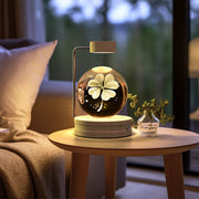 Crystal Ball Indoor Night Light