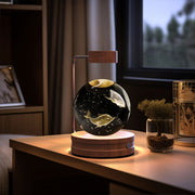 Crystal Ball Indoor Night Light