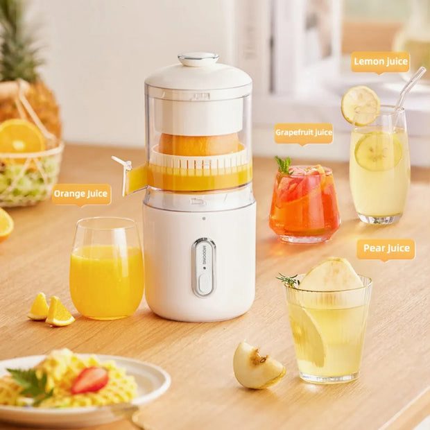 Electric Juicer Steel Orange Lemon Blender